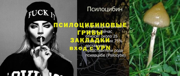 альфа пвп Горно-Алтайск