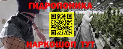 амф Донской