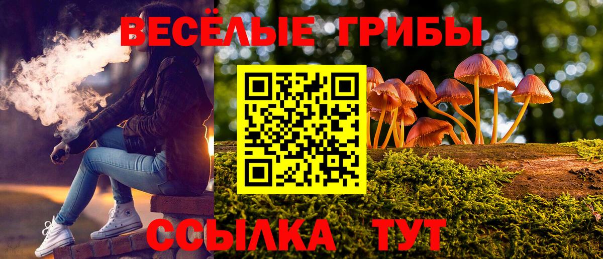 Псилоцибиновые грибы GOLDEN TEACHER Приморско-Ахтарск