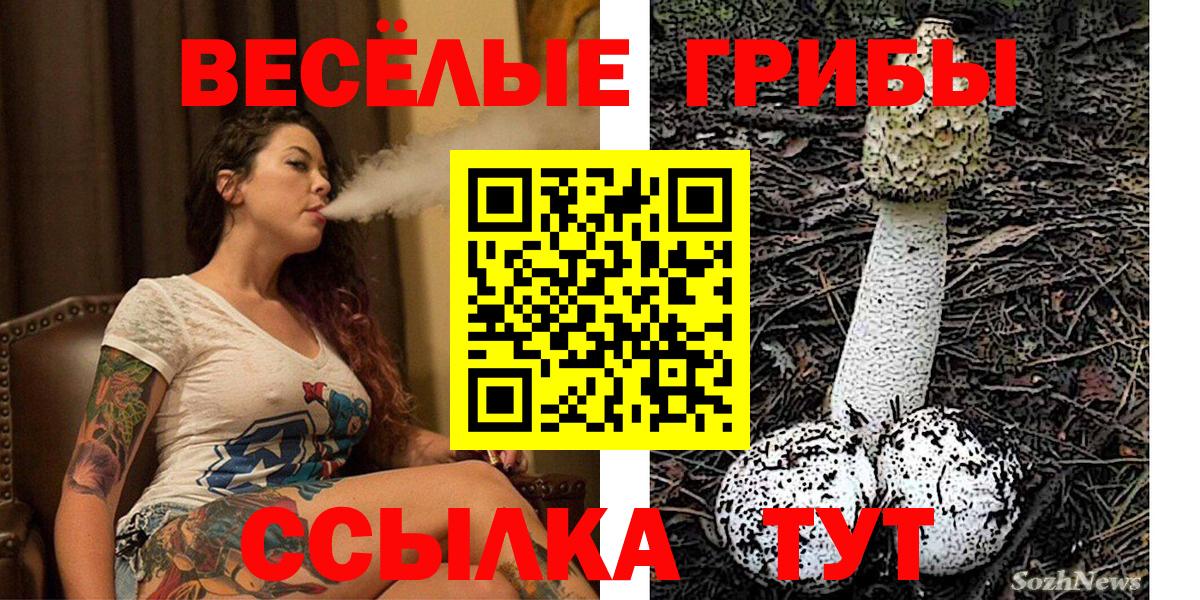 Галлюциногенные грибы прущие грибы  Галлюциногенные грибы MAGIC MUSHROOMS  Приморско-Ахтарск  Вход с VPN 