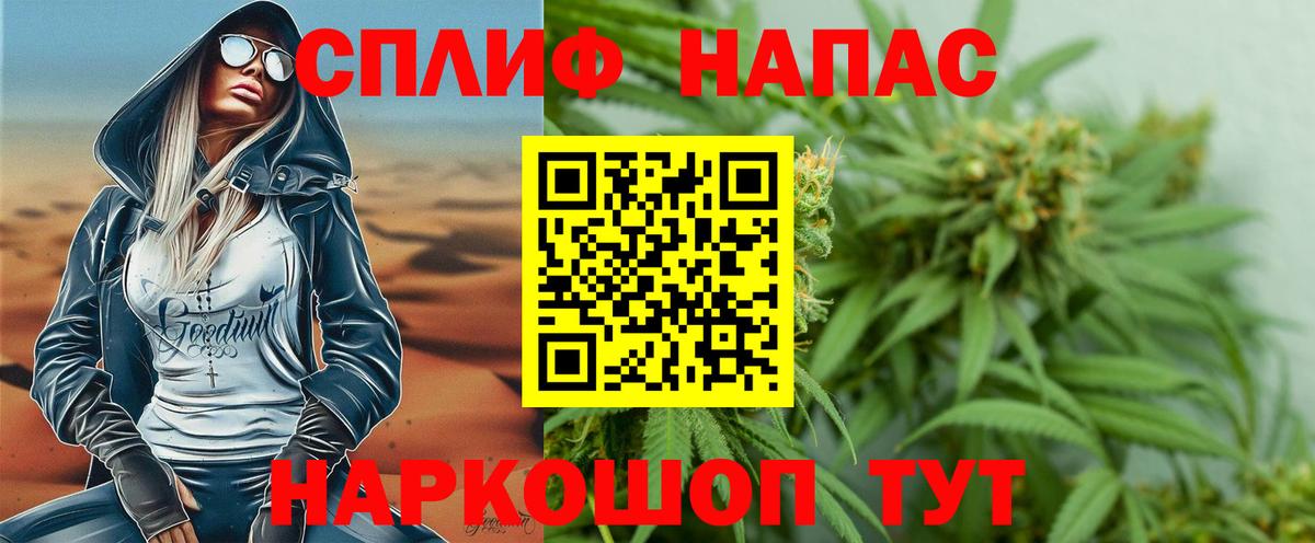 Бошки Шишки семена Приморско-Ахтарск